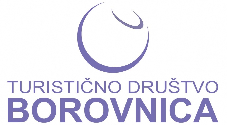 logo_TD_Borovnica